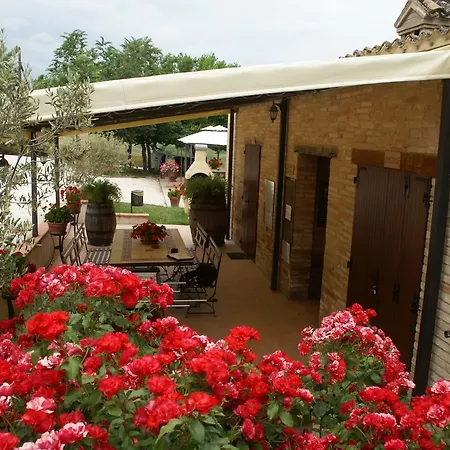 Fattoria Silvia Camelia * Appignano (Macerata)