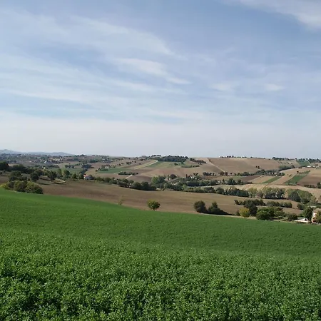 Fattoria Silvia Camelia Lägenhet Appignano (Macerata)